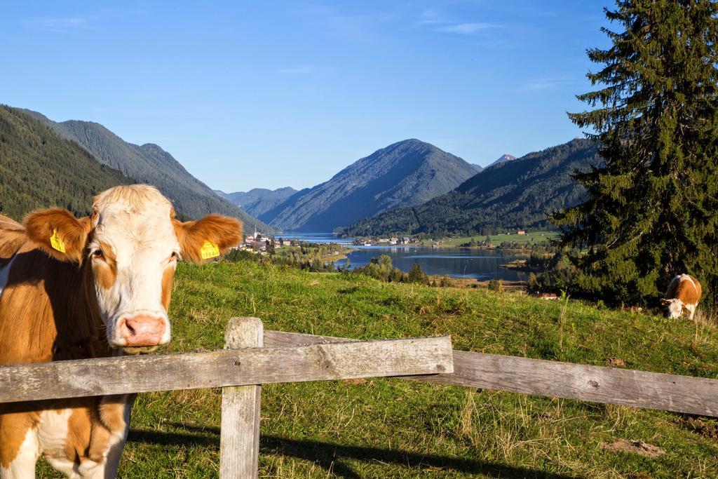 Apartamento Haus Kalt Weissensee Exterior foto